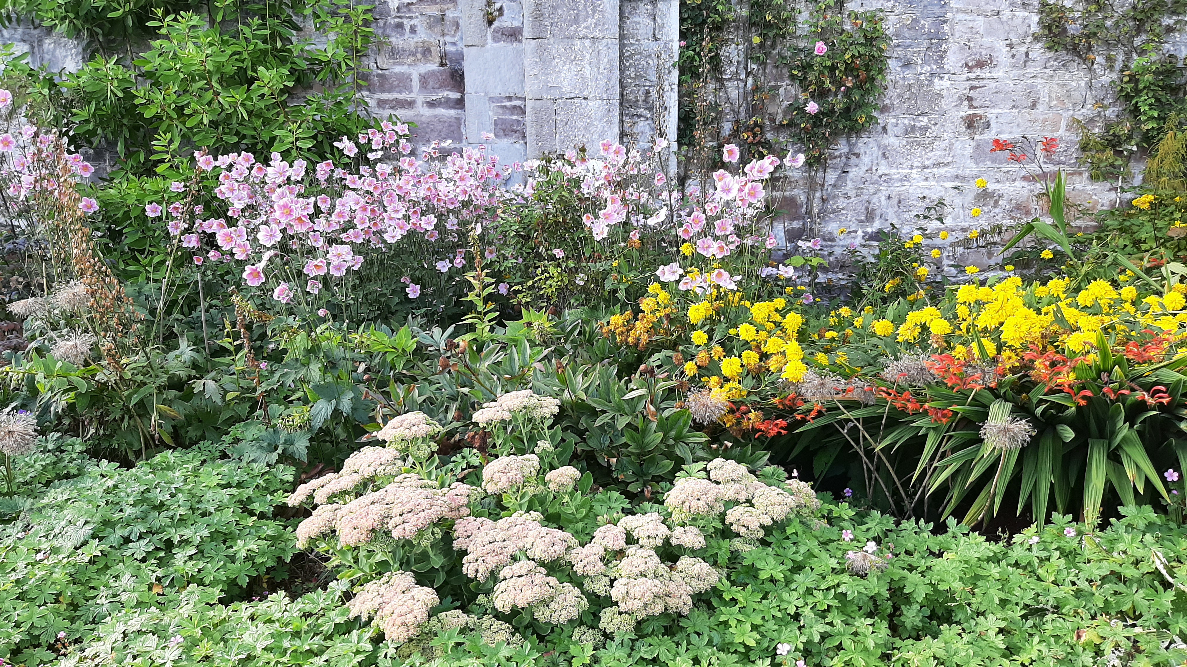 My Fundraising Page for Wee Kilt Walk